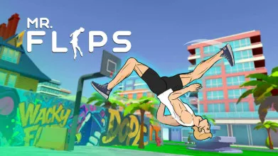Mr Flip